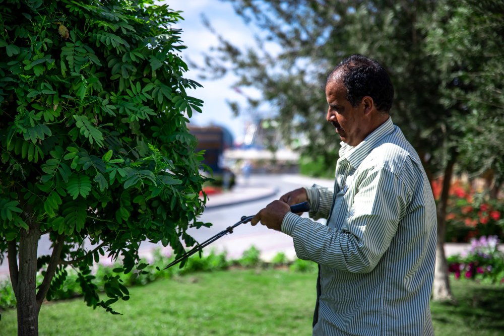 Gardening service